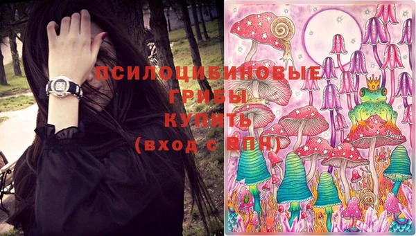 круглые Абаза
