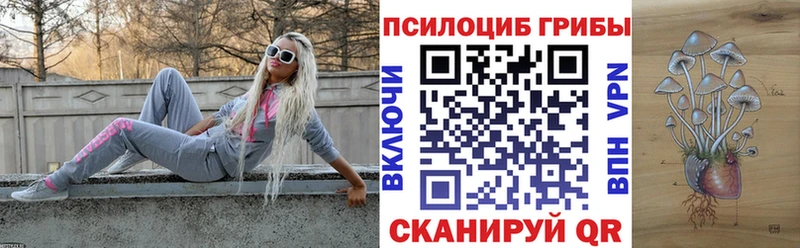 где продают наркотики Мирный Галлюциногенные грибы Cubensis