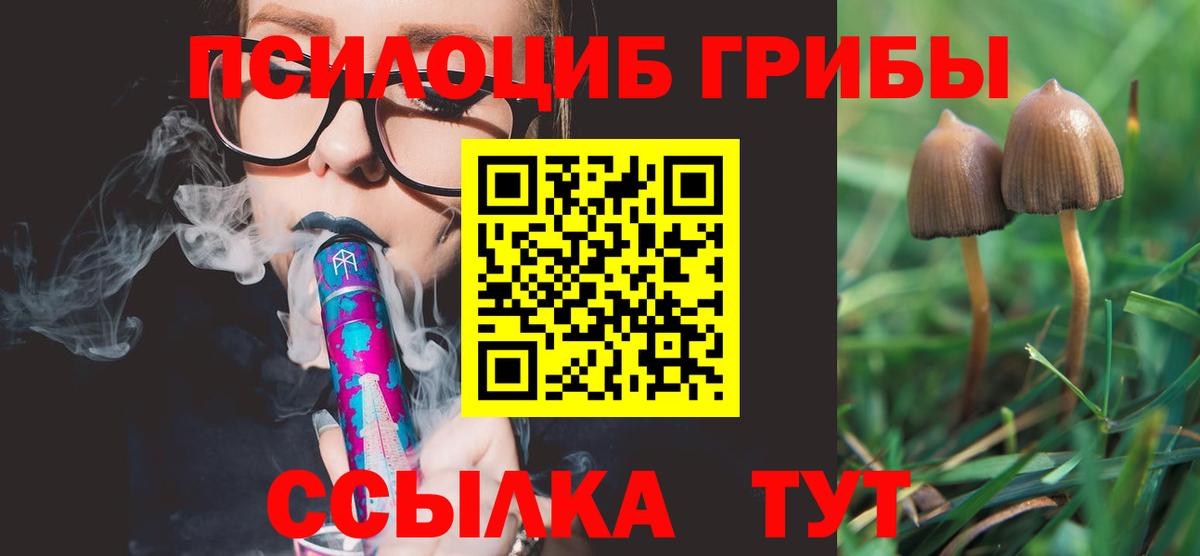 Галлюциногенные грибы Cubensis  Галлюциногенные грибы Magic Shrooms  Мирный  Вход с VPN 