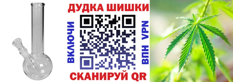 купить наркотики цена  Мирный  Конопля план 